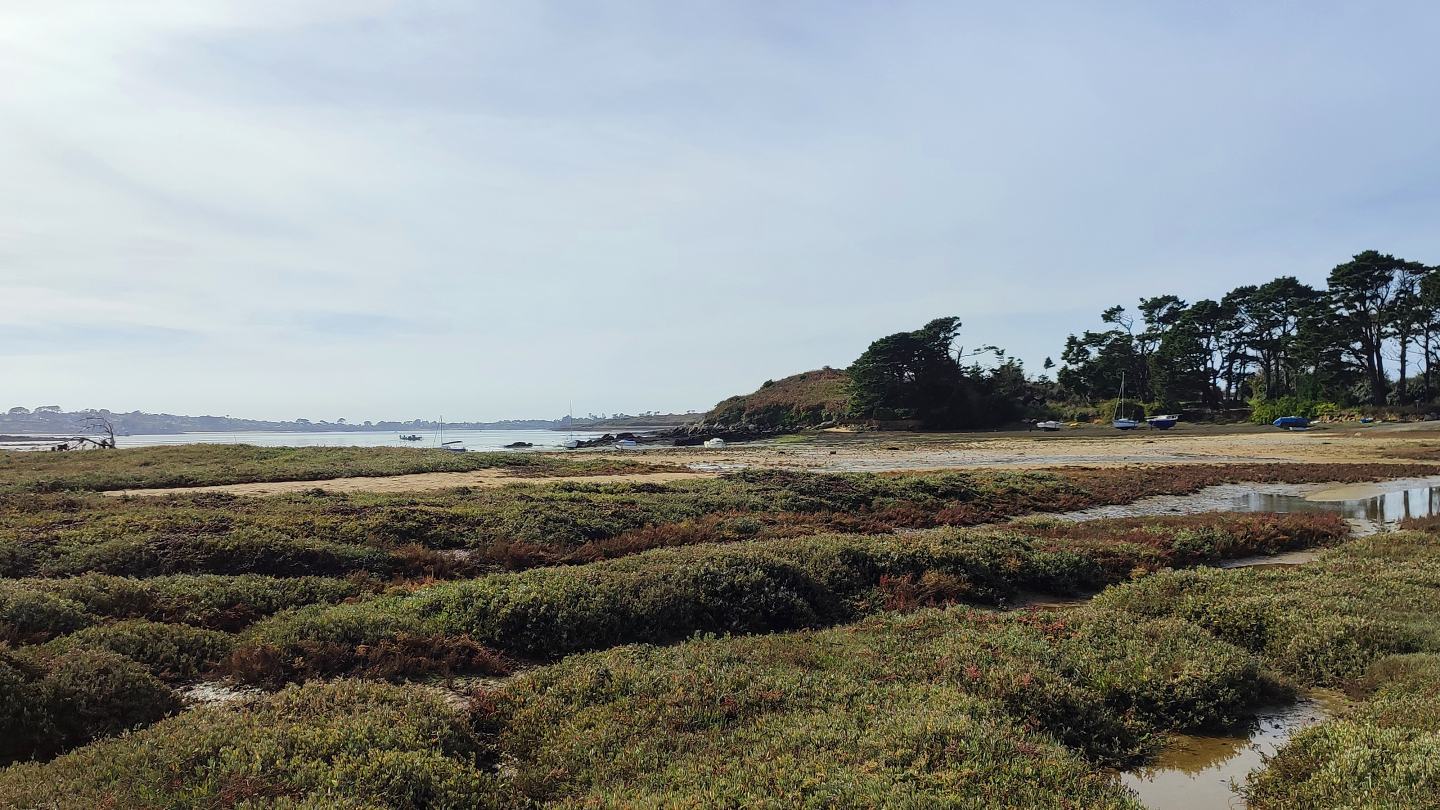 L'Aber Wrac'h à marée basse