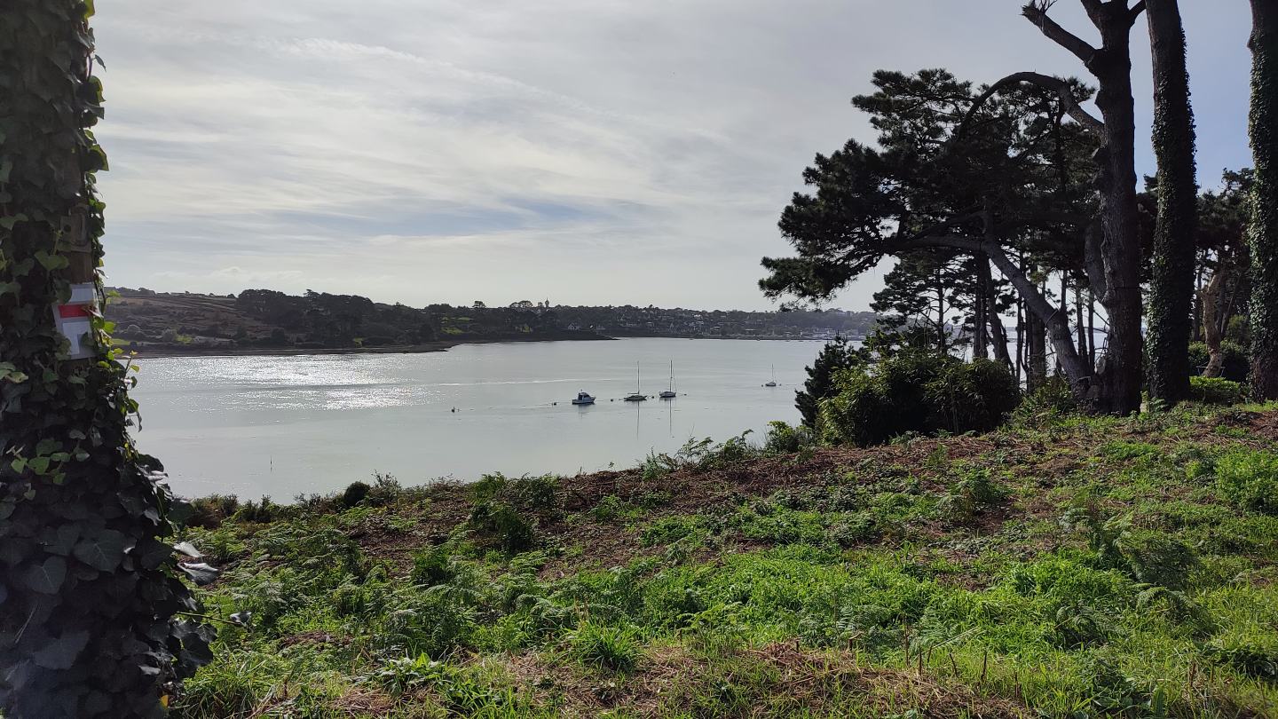 Vue sur l'Aber Wrac'h du haut de la rive | Plouguerneau