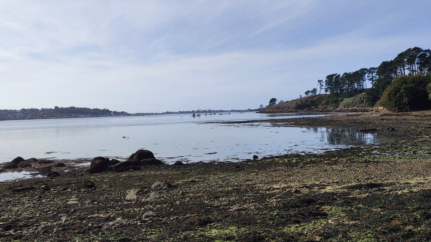 L'Aber Wrac'h à marée basse