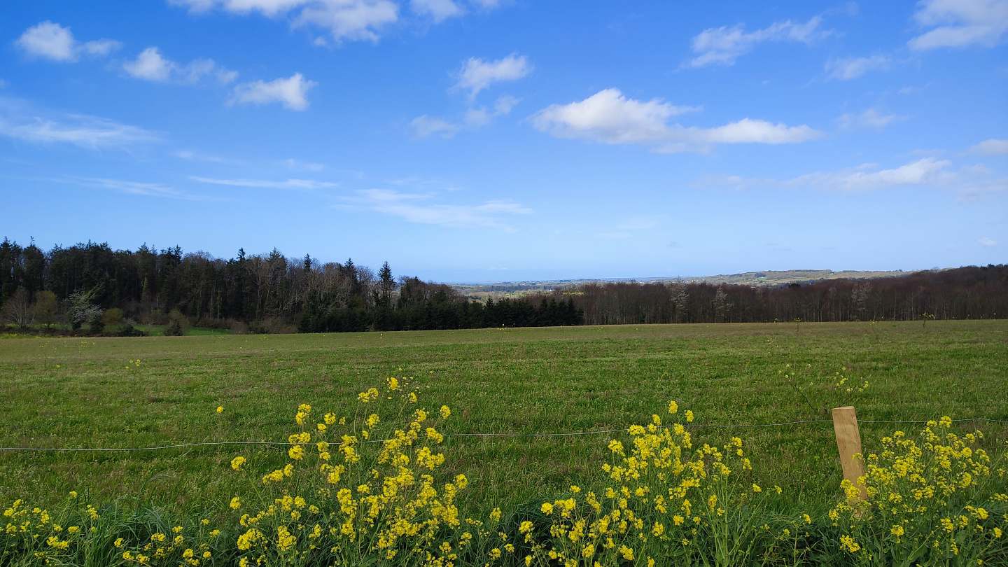 Succession de vues panoramique 