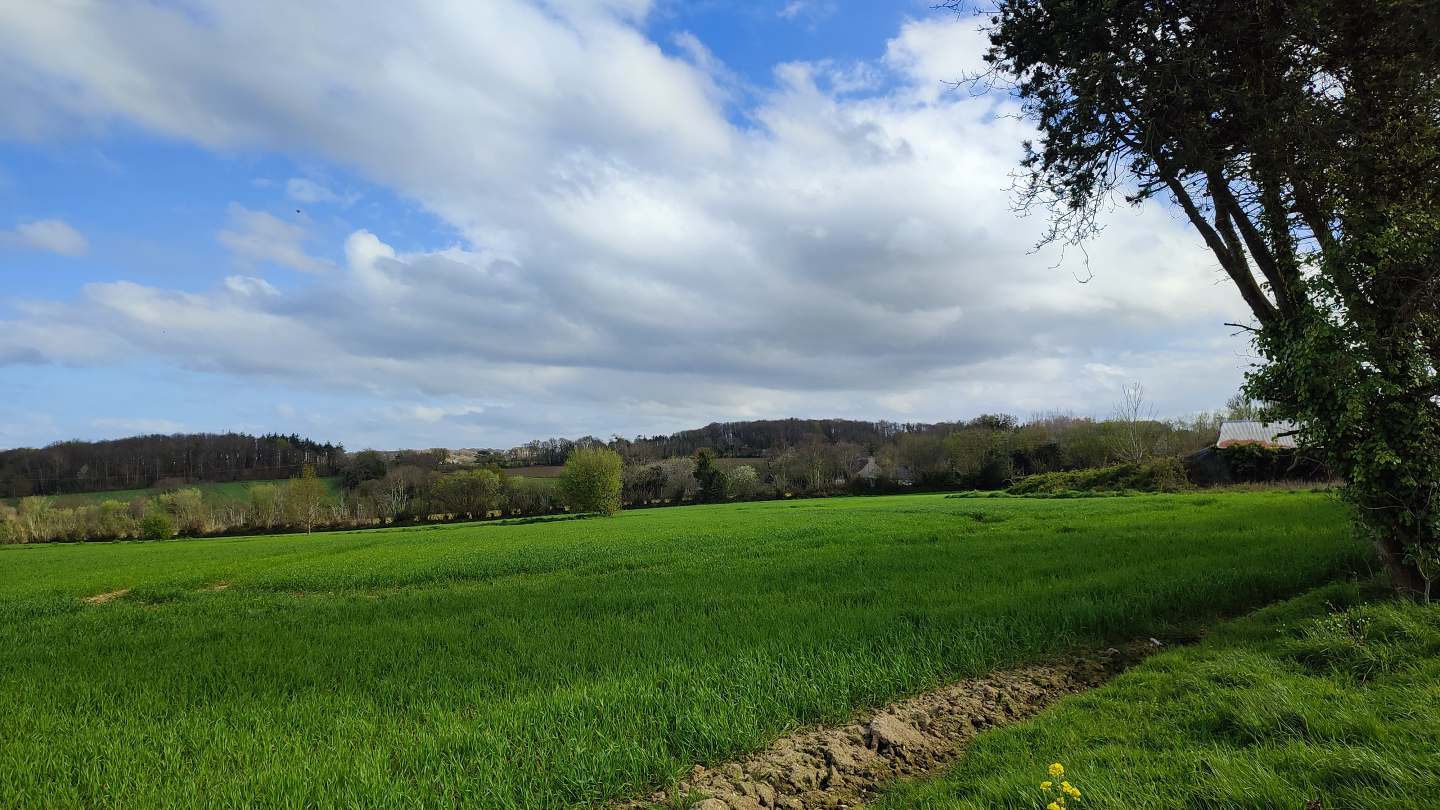 Dernier coup d’œil à l'horizon