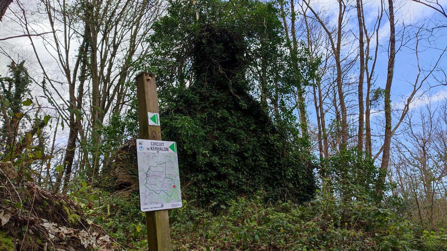 Intrigante ruine d'habitation à la croisée de chemins au fin fond des bois