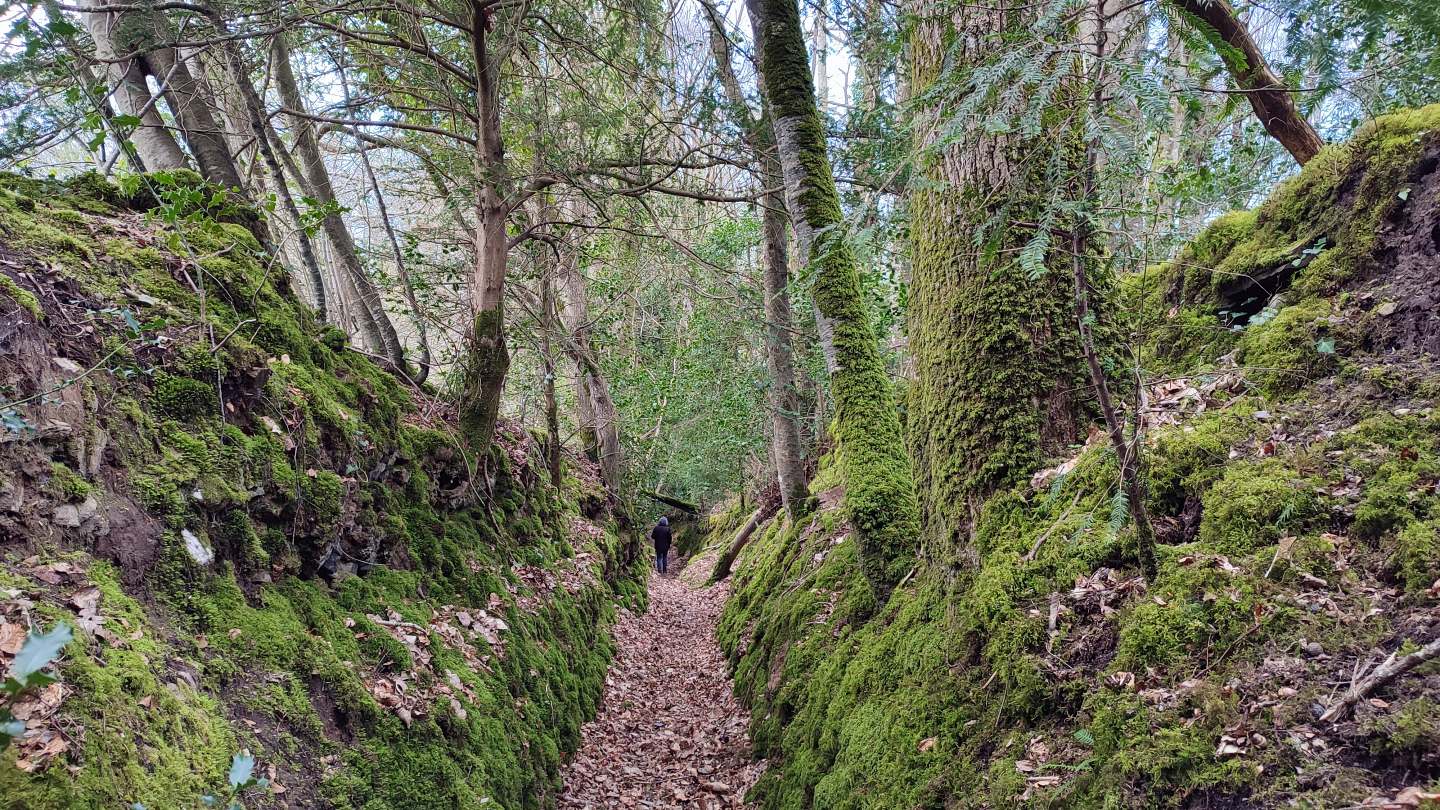 Magnifique chemin creux 
