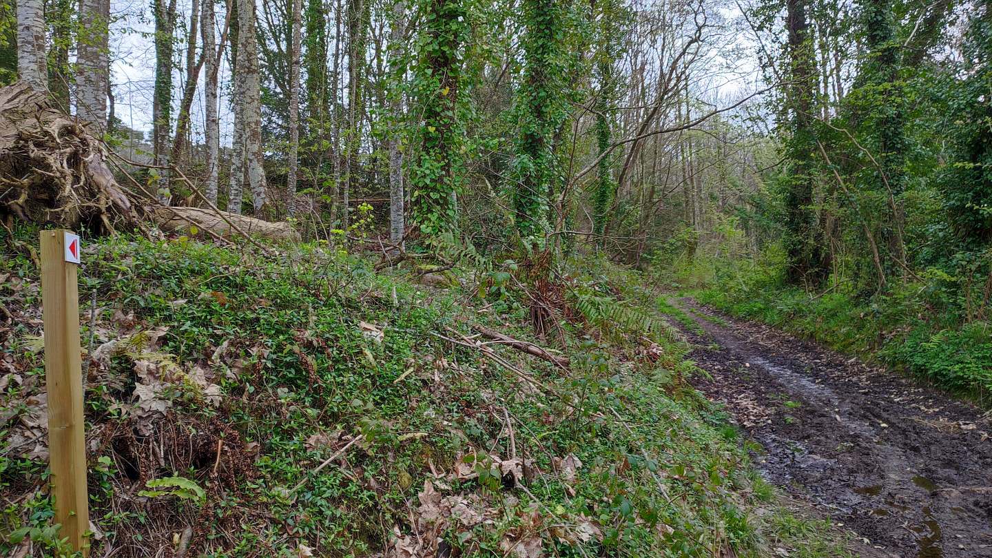 Abandon du circuit balisé vert pour le circuit du Tumulus balisé en rouge